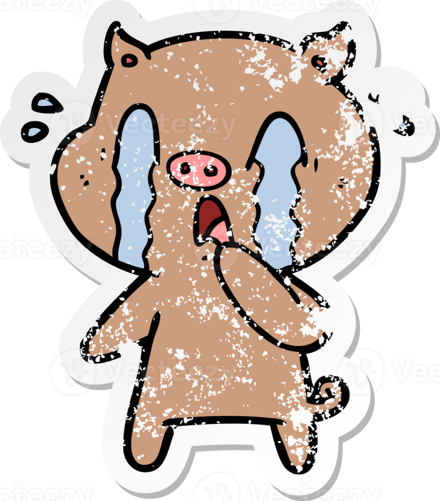 distressed sticker of a crying pig cartoon png