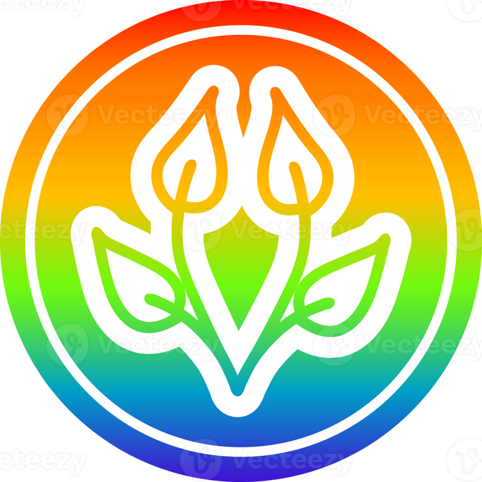 natural leaf circular in rainbow spectrum png