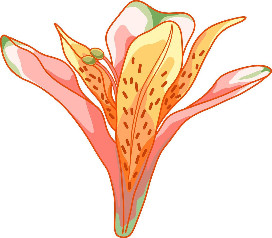 ligero rosado lirio Alstroemeria flor vector acortar Arte ilustración
