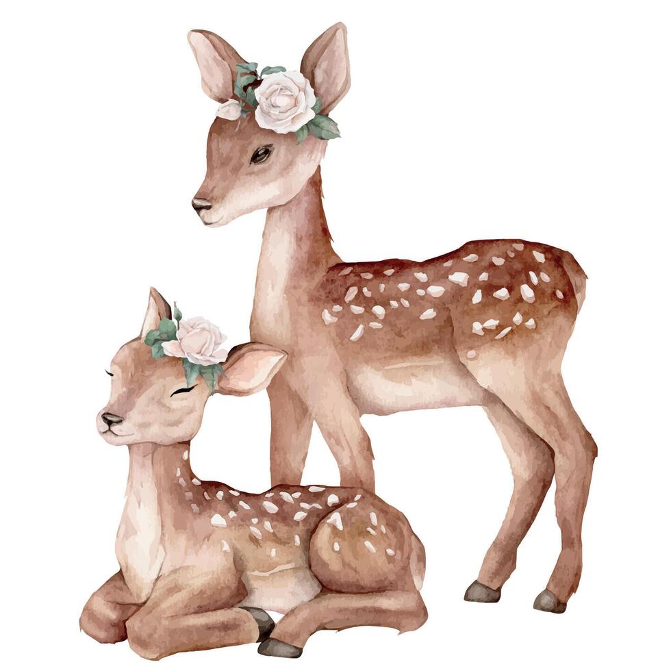 Watercolor baby deer and white roses. Spotted deer isolated on white background. Hand painted wild animal and flower, leave. template for post card. Realistic animal for design and print or background vector