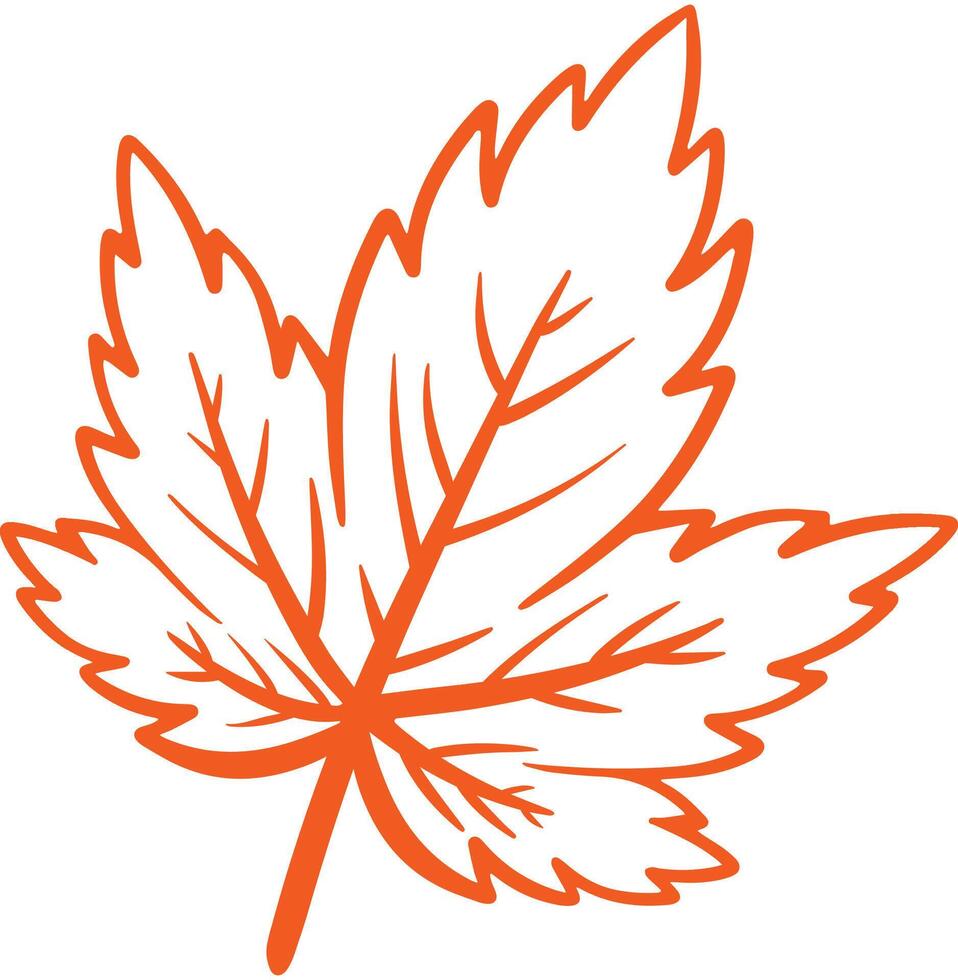 Maple Leaf Line Art Drawing for Autumn Nature Element Decoration Vector Illustration