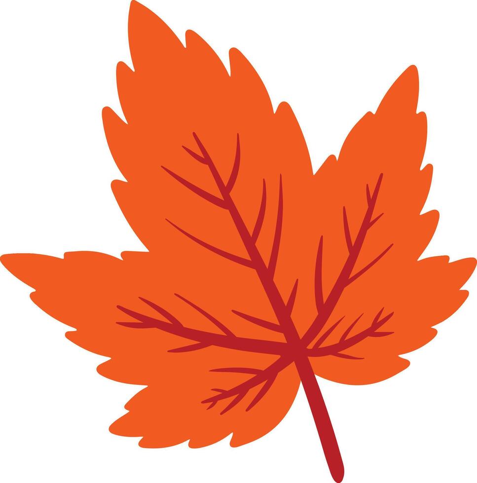 Maple Leaf Icon Hand Drawn for Autumn Nature Element Decoration Vector Illustration