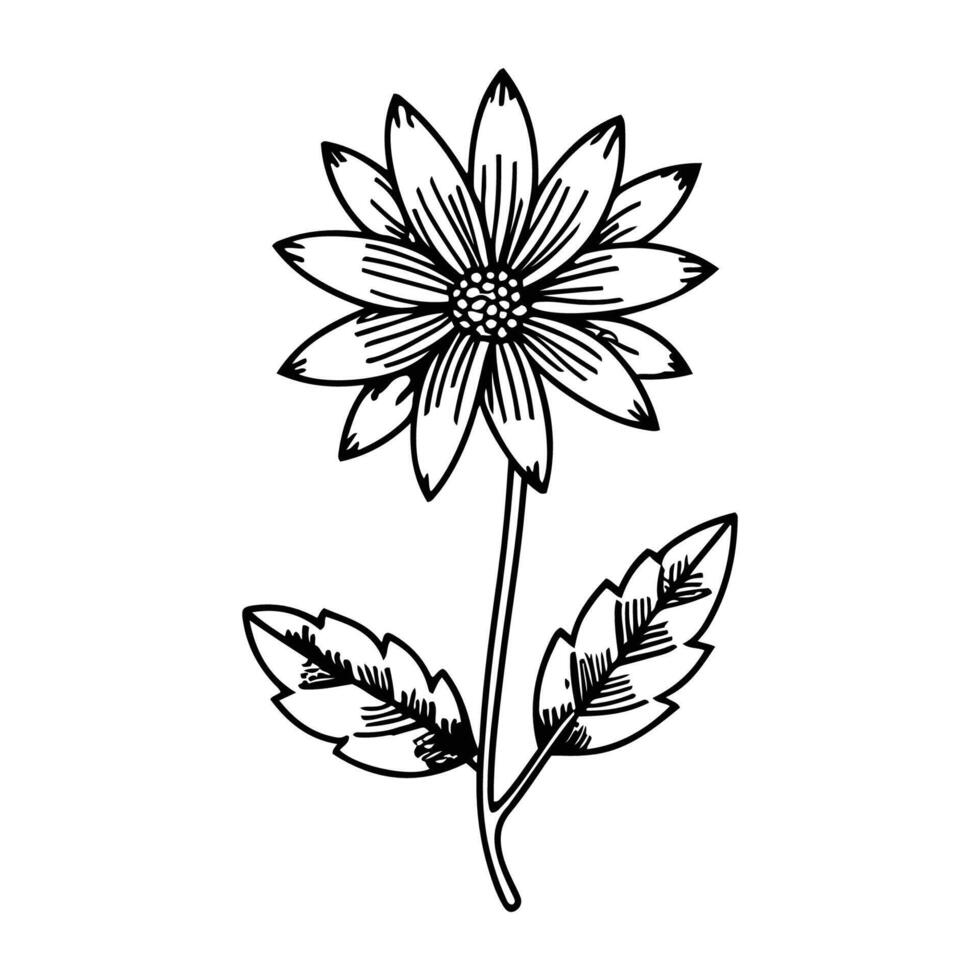 Hand drawn flower black outline vector isolated on white background.