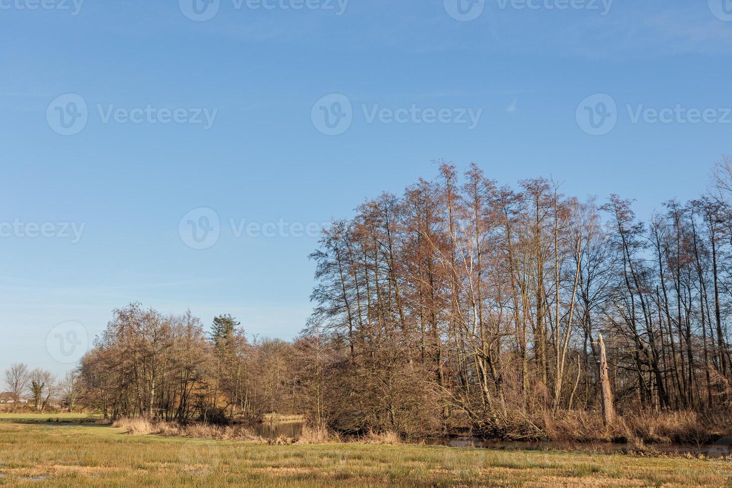 the castle of gemen in westphalia photo