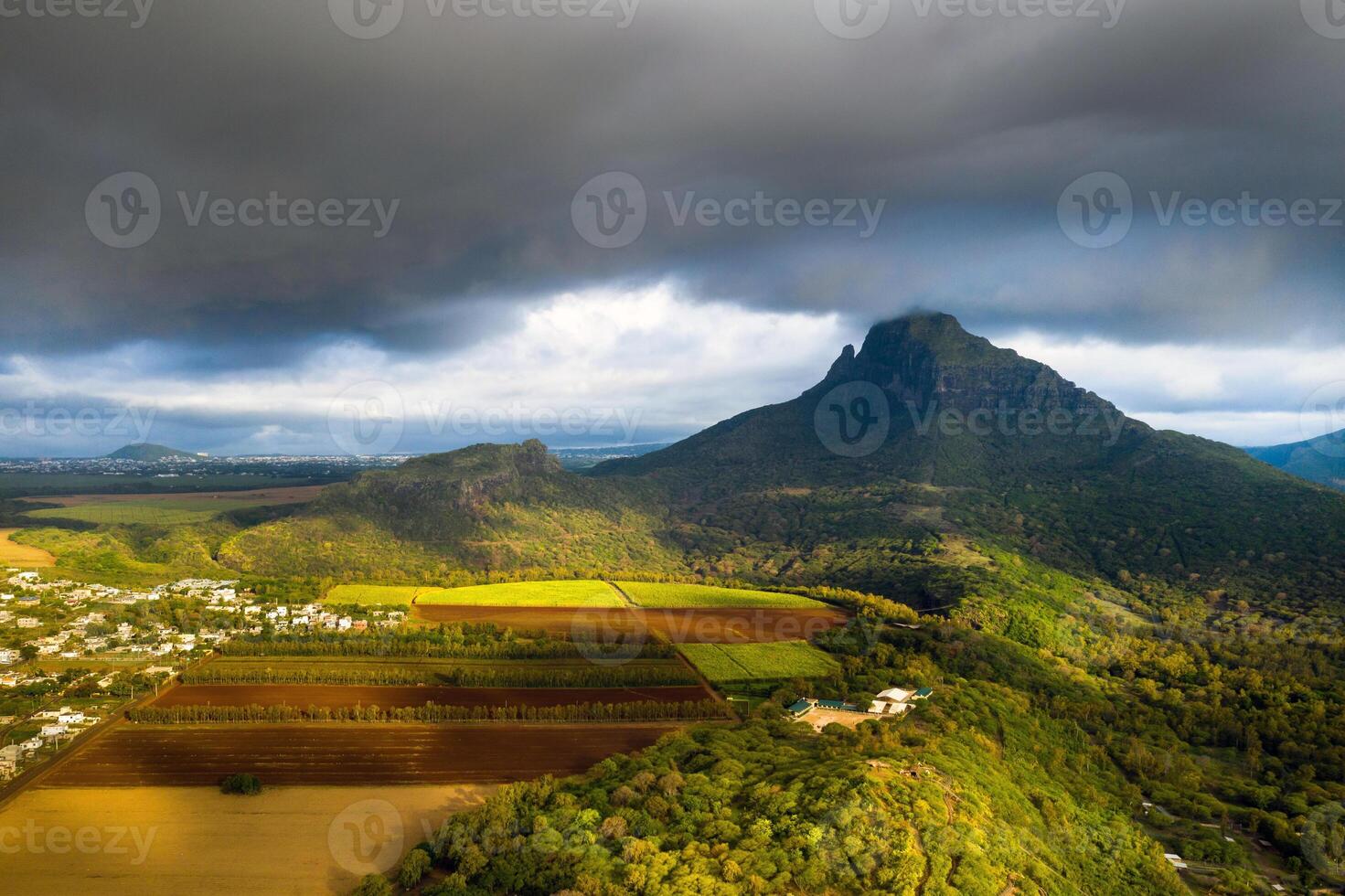 View from the height of the sown fields located on the island of Mauritius photo