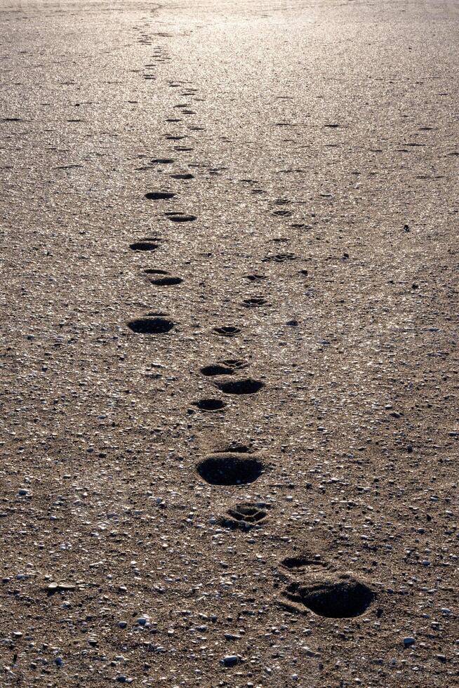 footprints on the beach sand in vertical format photo