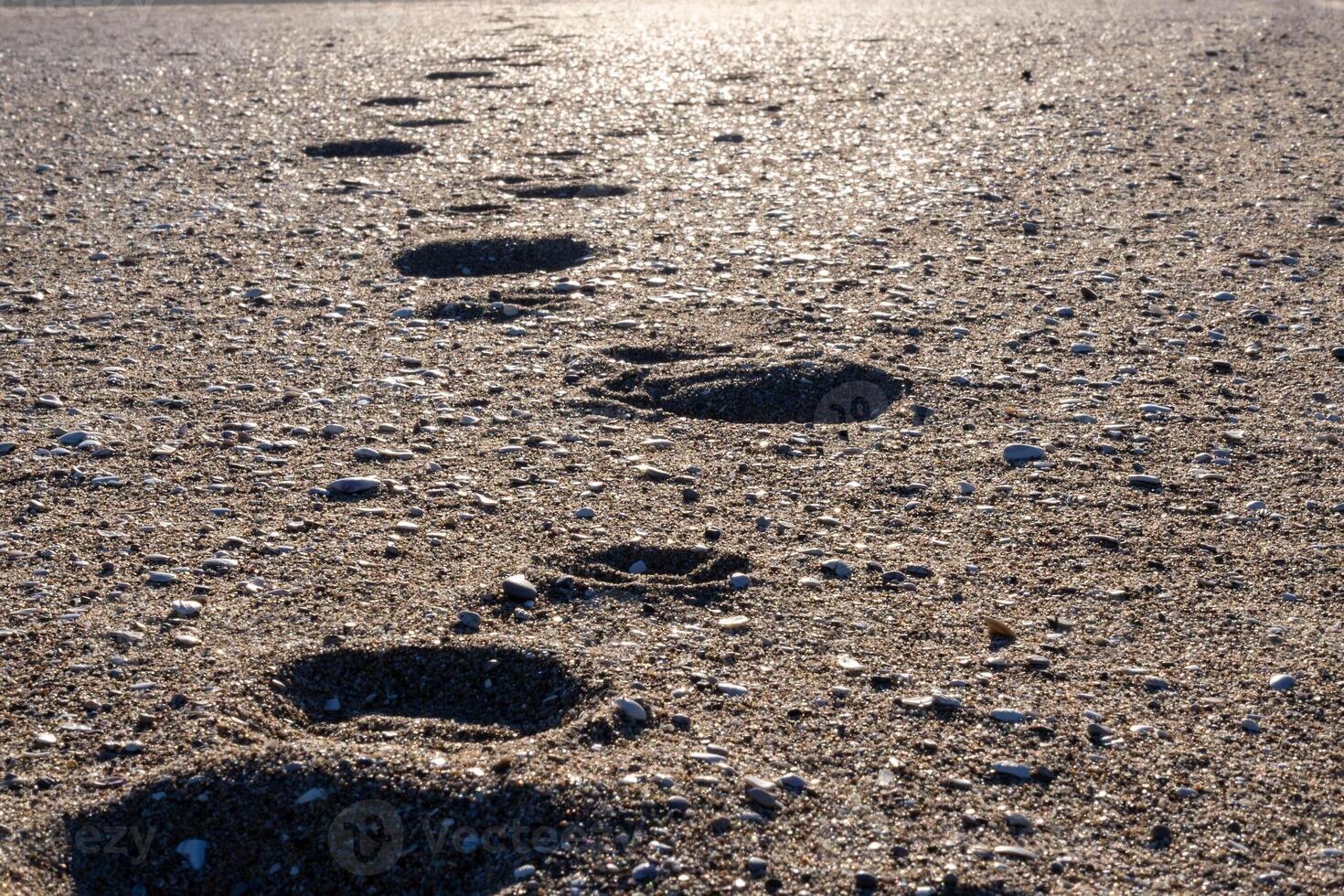 footprints on the beach sand in horizontal format photo