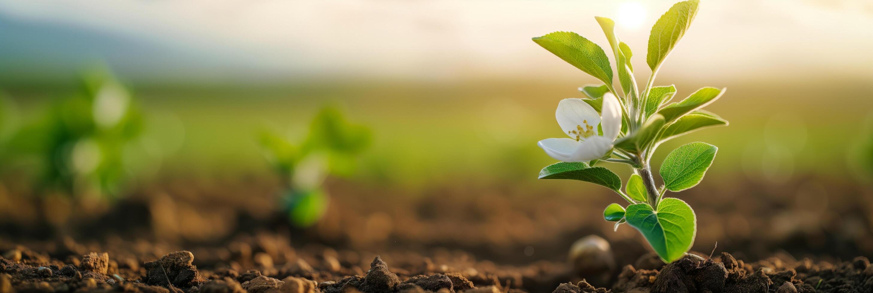 ai generado brotante planta con floración, crecimiento, renovación foto