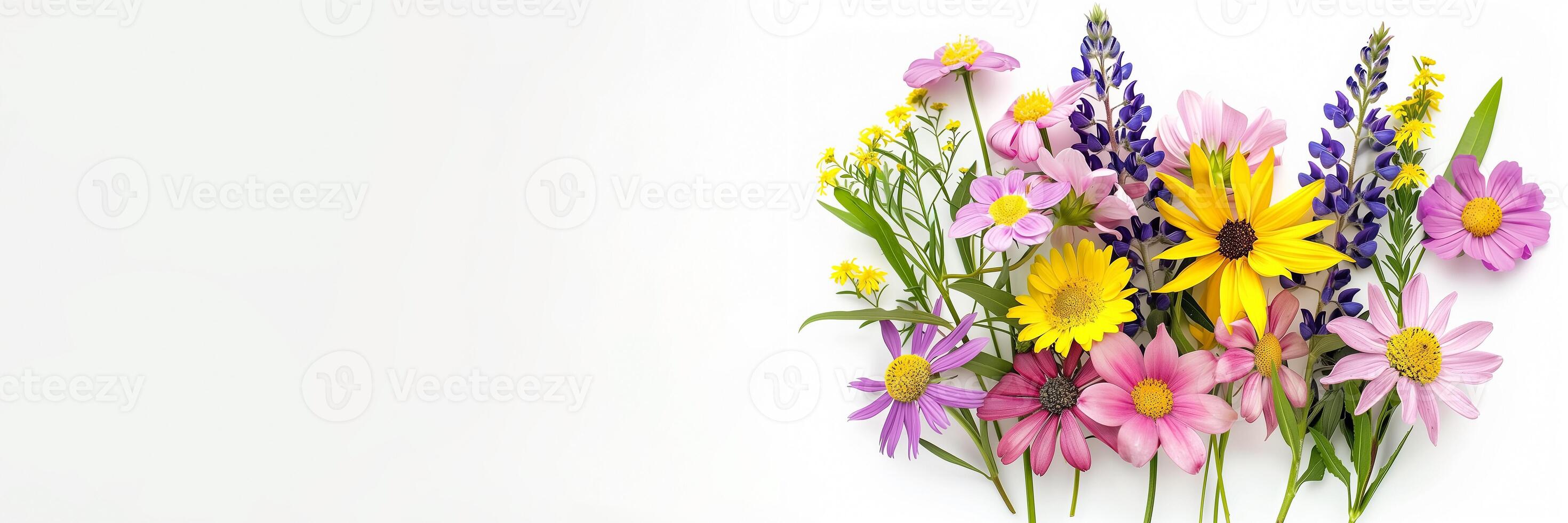 AI generated Vibrant spring flowers arranged in a panoramic layout on white background, ideal for Easter and Mothers Day concepts photo