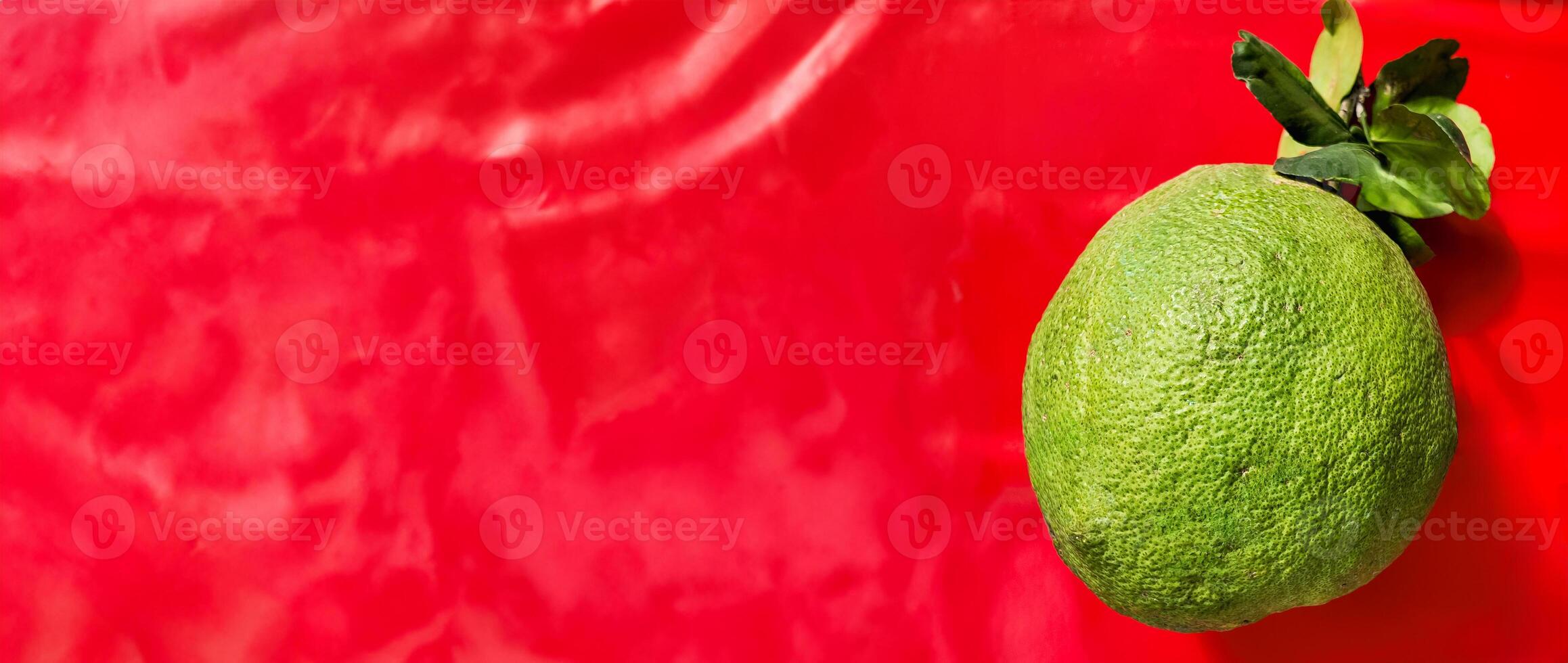 Vivid Lime with Leaves on Red Backdrop photo