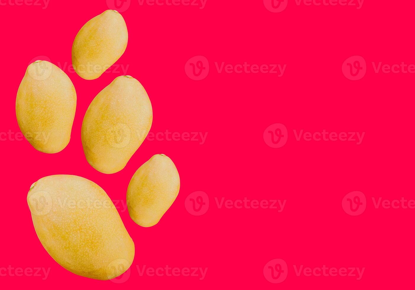 Vibrant Yellow Mangoes on Pink Backdrop photo