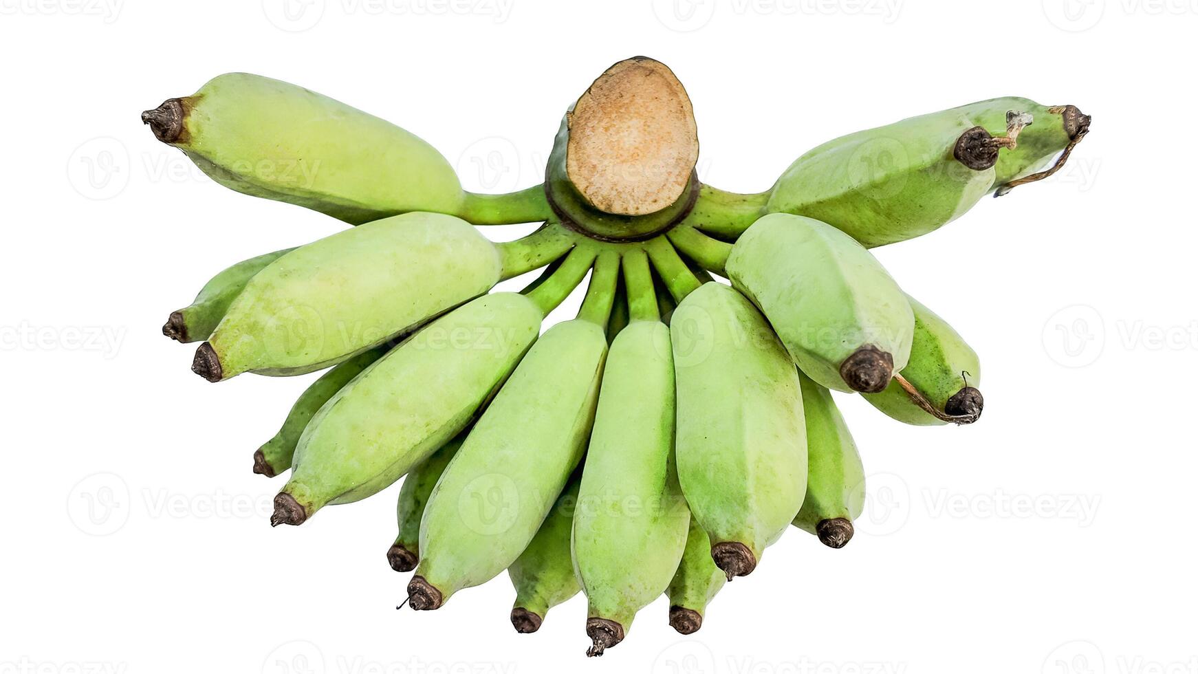 Green Banana Bunch Isolated on White photo