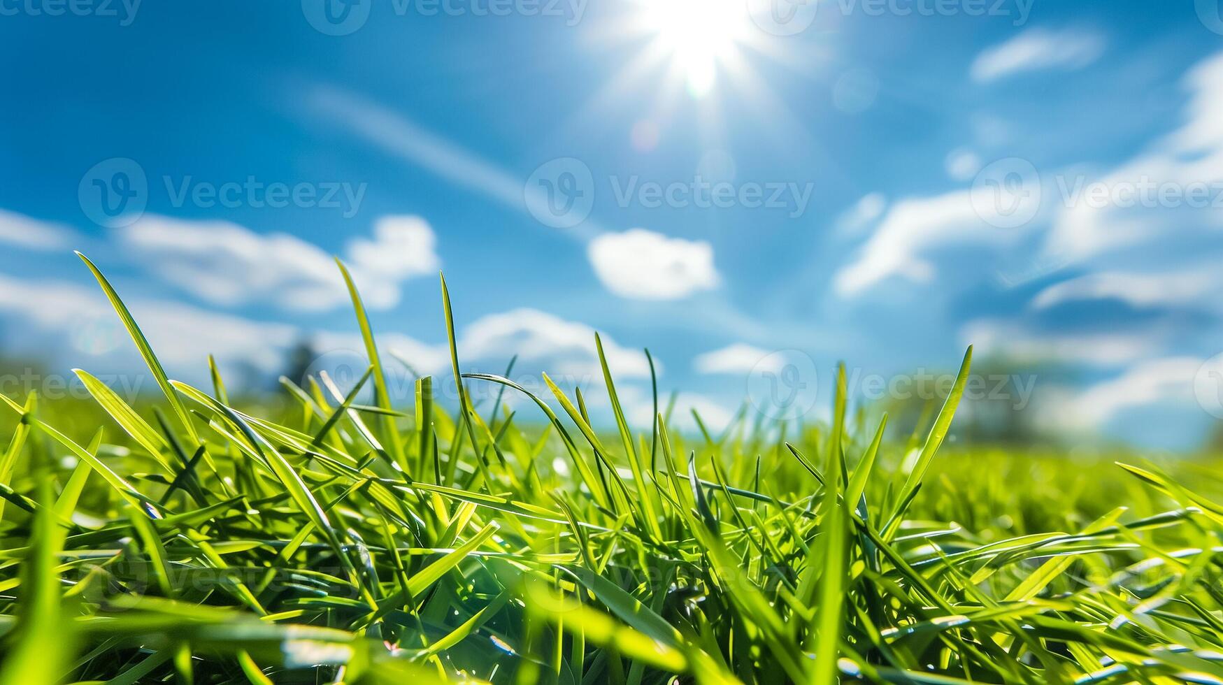 AI generated Close up of vibrant green grass with a clear blue sky and radiant sunshine, symbolizing summer days or environmental conservation photo