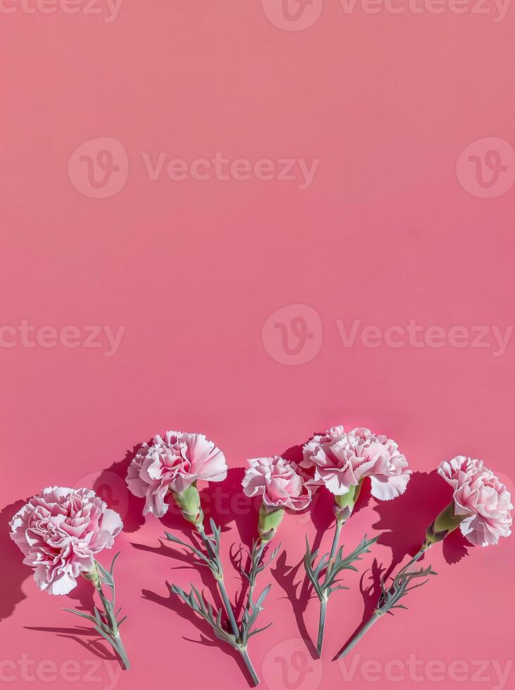 AI generated Elegant pink carnations with delicate white edges arranged on a pastel pink background, ideal for Mothers Day promotions or spring themed design projects photo