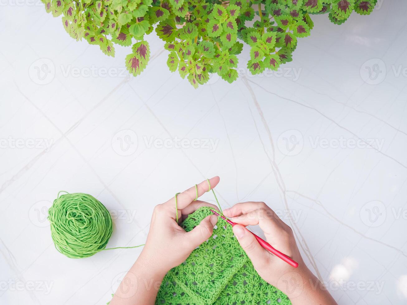 Close-up of woman hand knitting with green wool photo