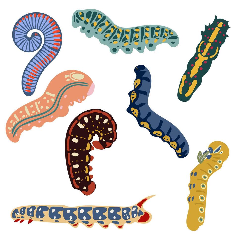 A set of colorful caterpillars on a white background. Illustration for a postcard, banner, decor vector