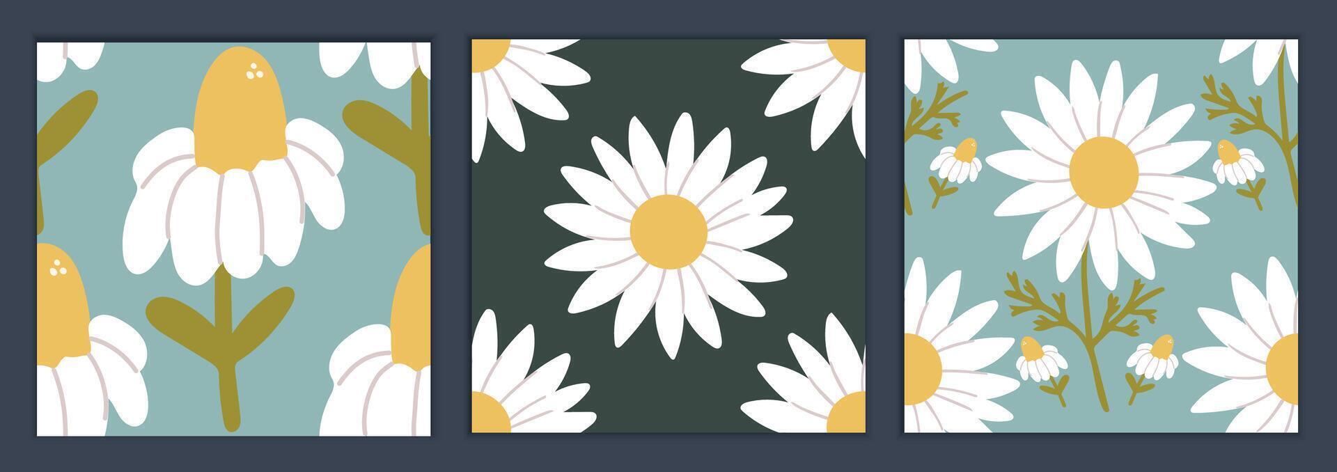 The set of seamless patterns chamomile and matricaria. For textile, wrapping, fashion vector