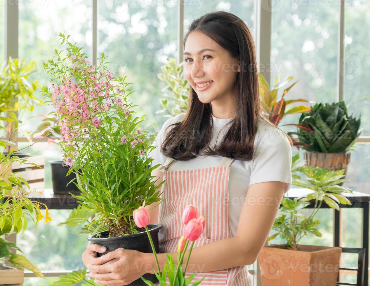 Portrait garden farm woman young Asian girl one person beautiful smile enjoy happy stand hand holding and looking small green tree pot planting workshop room house and relax summer day for job hobby photo