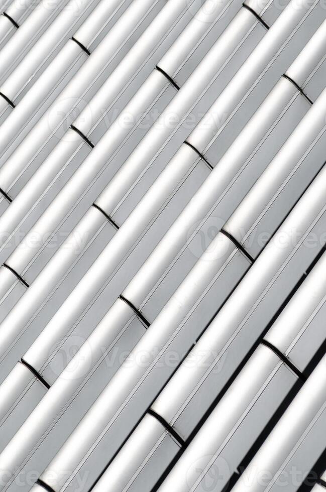 portrait shot of linear structures photo