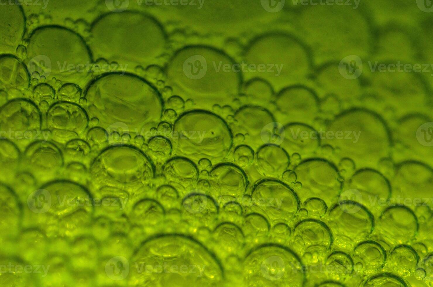 macro shot of green bubbles photo