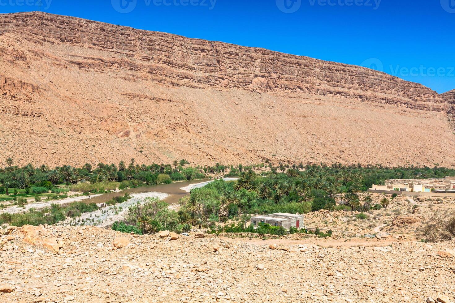 Wide view of cultivated fields and palms in Errachidia Morocco North Africa Africa, deep blue sky photo