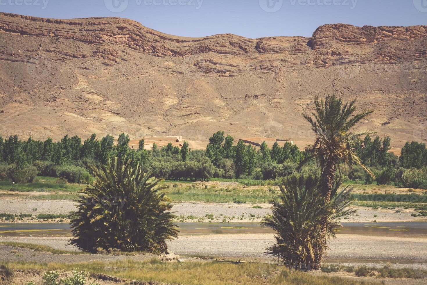 amplio ver de cañón y cultivado campos y palmas en erraquidia Valle Marruecos norte África África foto