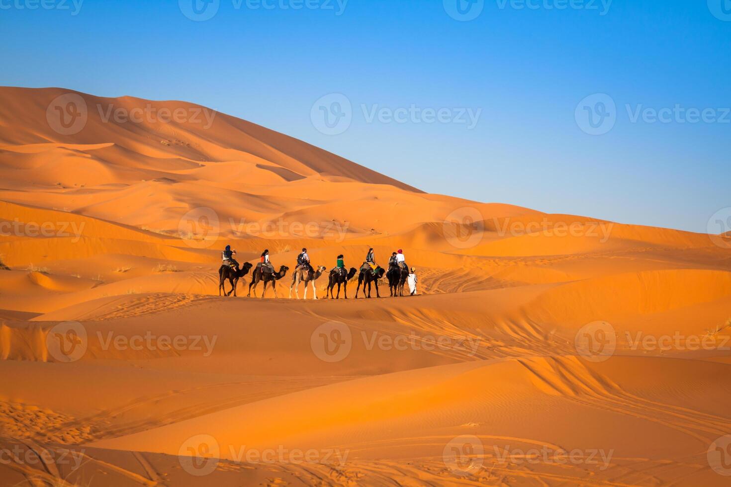 Camel caravan going through the sand dunes in the Sahara Desert, Merzouga, Morocco photo