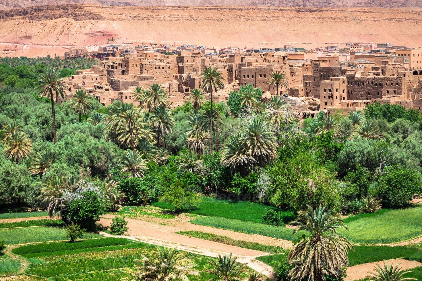 Town and oasis of Tinerhir, Morocco photo