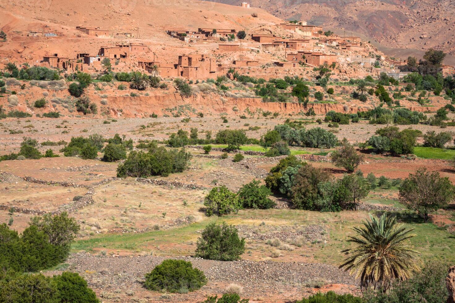 Village in the Ouarzazate, Morocco, Africa photo