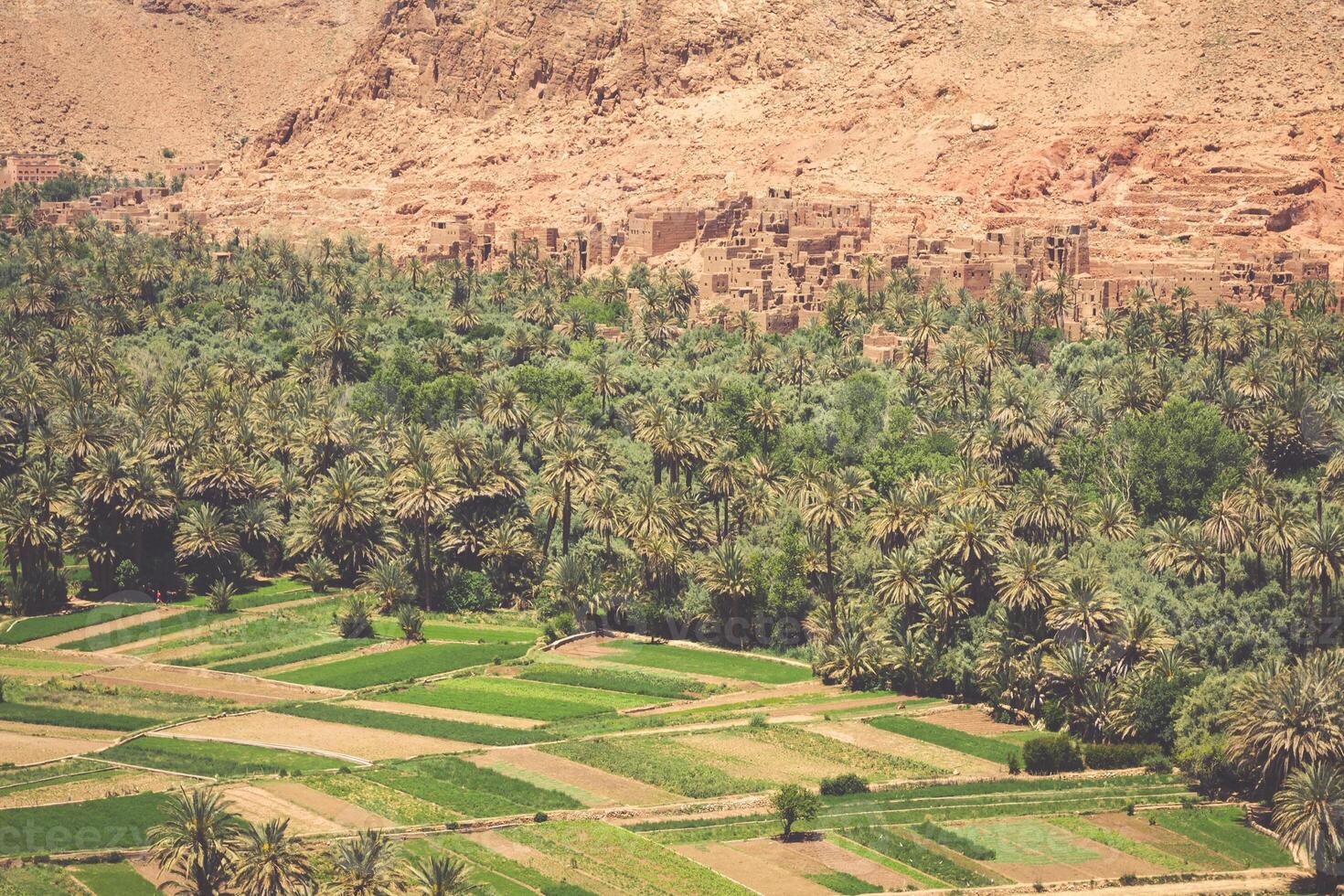 Tinerhir village near Georges Todra at Morocco photo