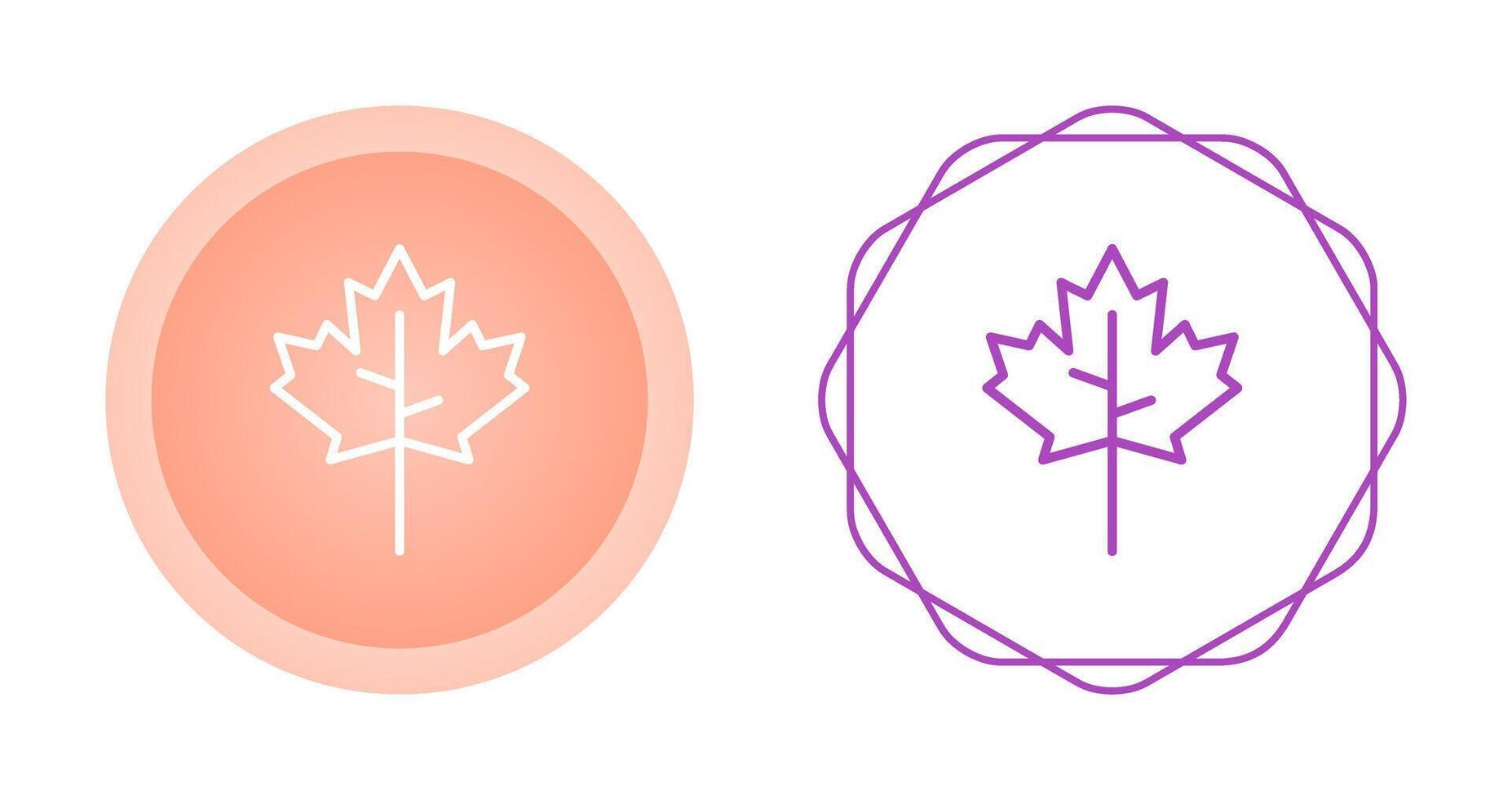 Maple leaf Vector Icon