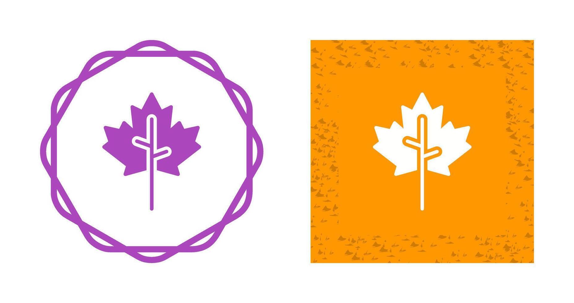 Maple leaf Vector Icon