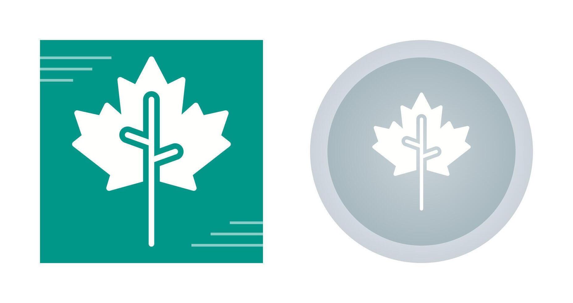 Maple leaf Vector Icon