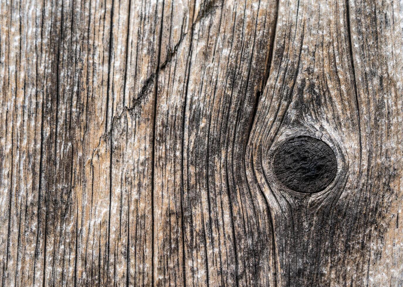 close up texture of wooden board for background design photo
