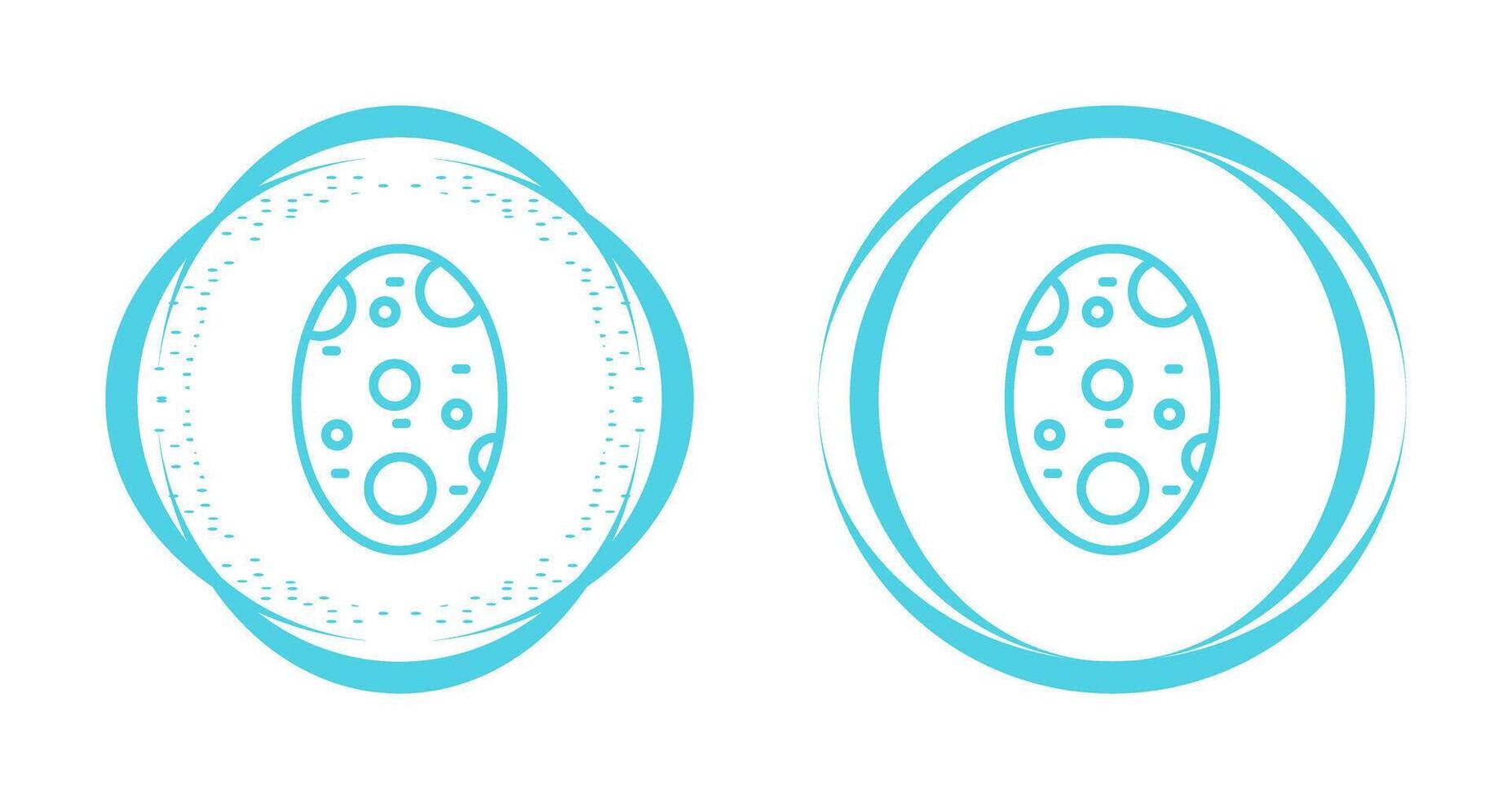 Potatoe Vector Icon