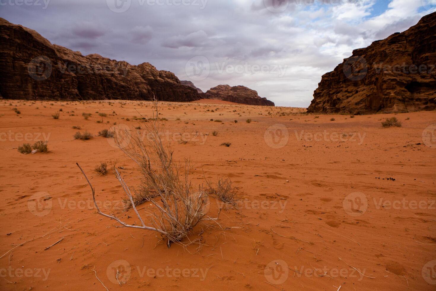 cauce Ron Desierto en Jordán. en el puesta de sol. panorama de hermosa arena modelo en el duna. Desierto paisaje en Jordán. foto