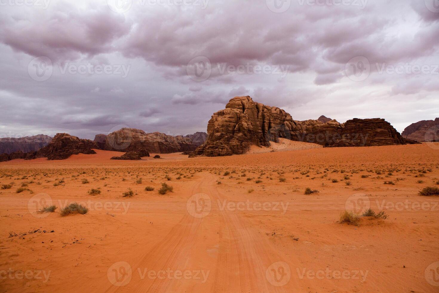 cauce Ron Desierto en Jordán. en el puesta de sol. panorama de hermosa arena modelo en el duna. Desierto paisaje en Jordán. foto