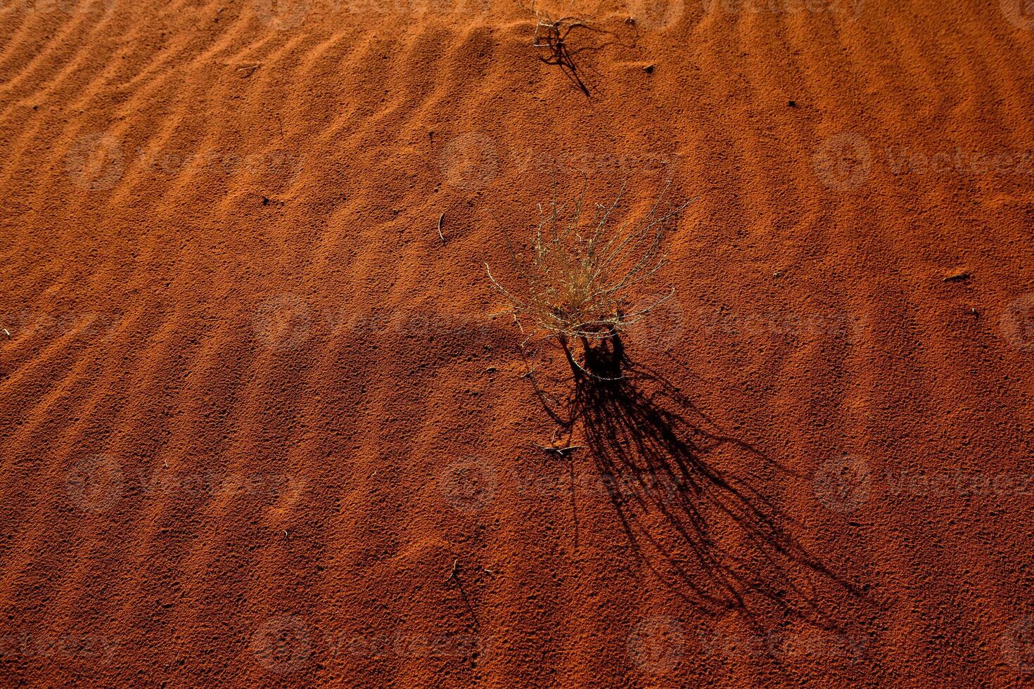 Wadi Rum Desert in Jordan. On the Sunset. Panorama of beautiful sand pattern on the dune. Desert landscape in Jordan. photo