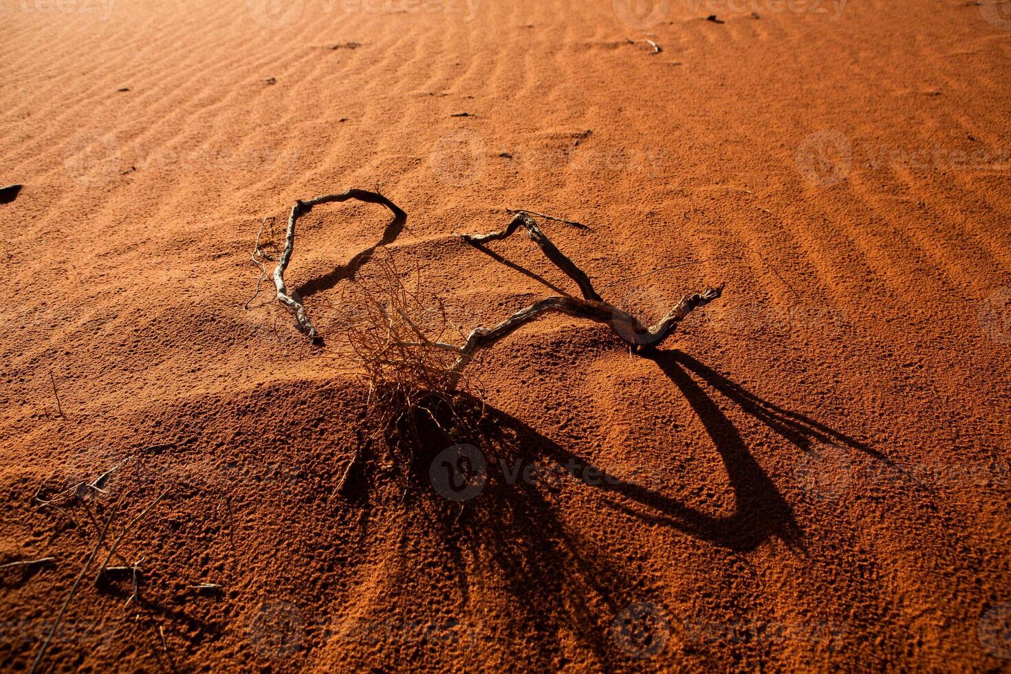 Wadi Rum Desert in Jordan. On the Sunset. Panorama of beautiful sand pattern on the dune. Desert landscape in Jordan. photo