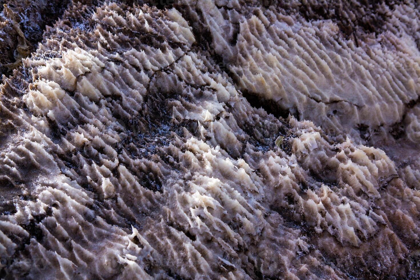 View of Dead Sea coastline at sunset time in Jordan. Salt crystals at sunset. Dead sea landscape with mineral structures. photo