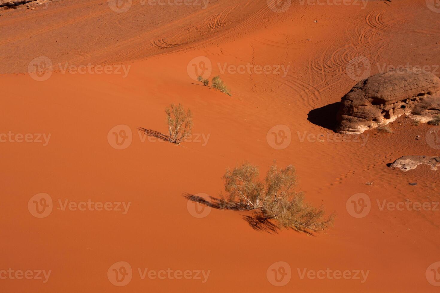 Wadi Rum Desert in Jordan. On the Sunset. Panorama of beautiful sand pattern on the dune. Desert landscape in Jordan. photo