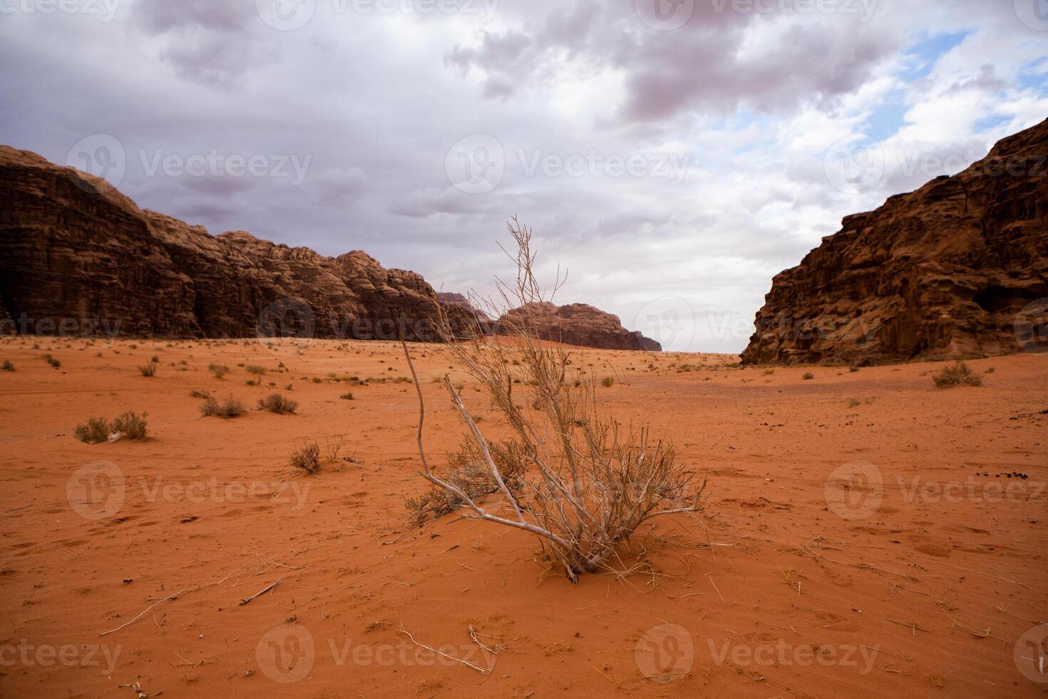 Wadi Rum Desert in Jordan. On the Sunset. Panorama of beautiful sand pattern on the dune. Desert landscape in Jordan. photo