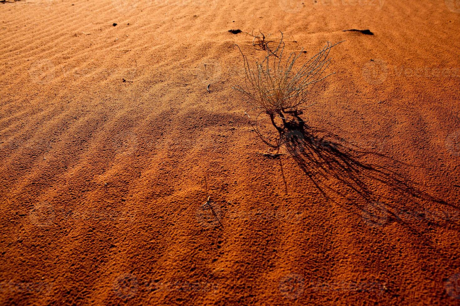 Wadi Rum Desert in Jordan. On the Sunset. Panorama of beautiful sand pattern on the dune. Desert landscape in Jordan. photo