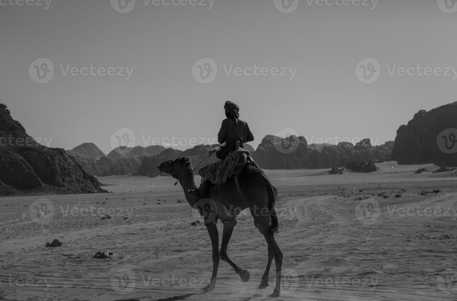 Wadi Rum Desert in Jordan. On the Sunset. Panorama of beautiful sand pattern on the dune. Desert landscape in Jordan. photo