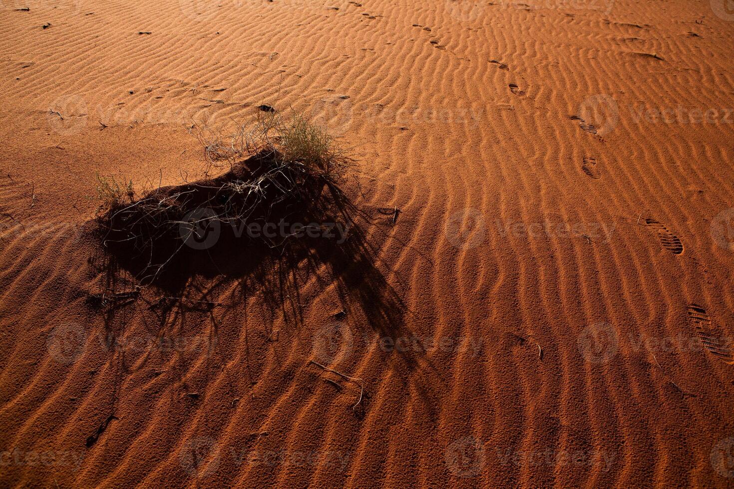 Wadi Rum Desert in Jordan. On the Sunset. Panorama of beautiful sand pattern on the dune. Desert landscape in Jordan. photo