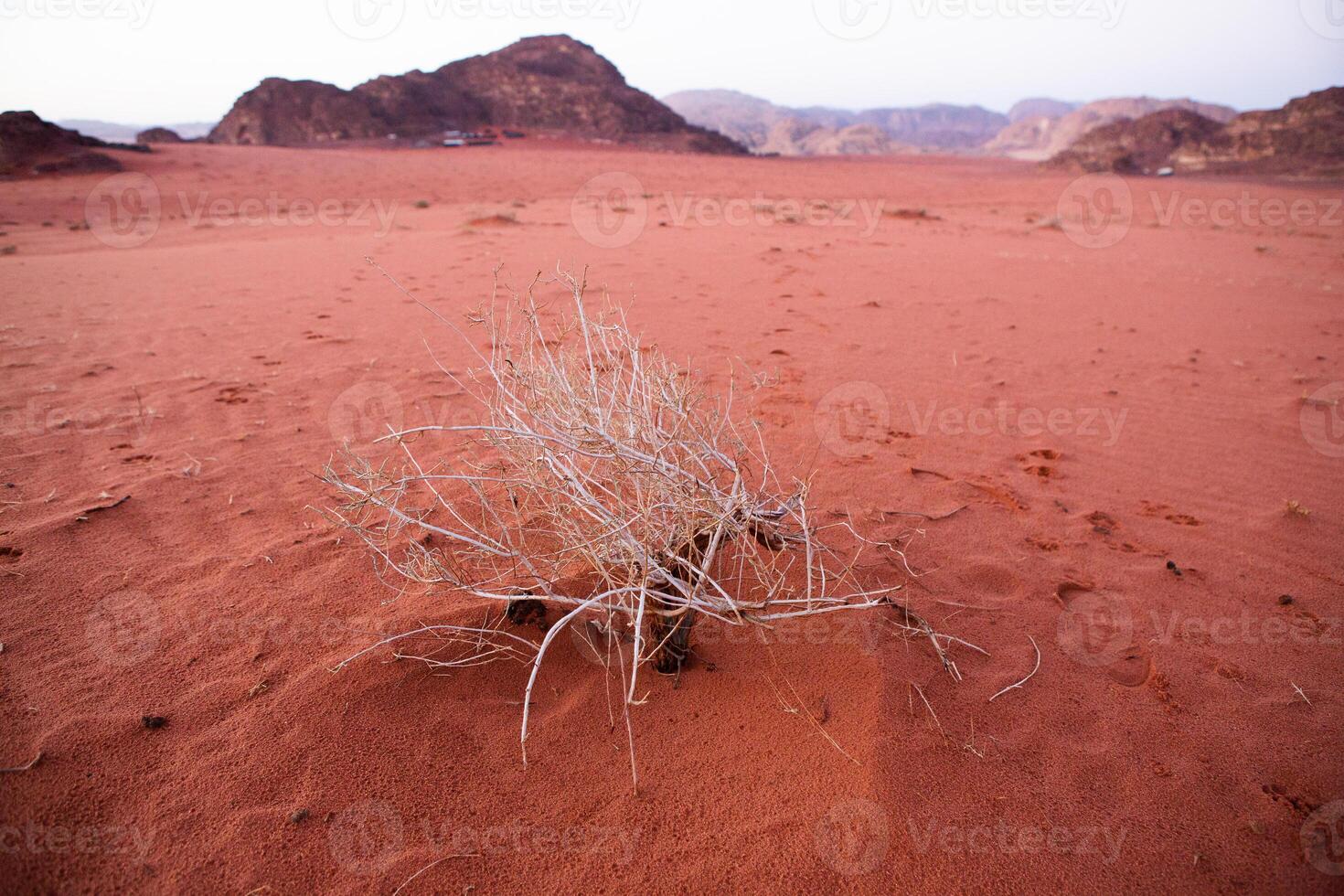 Wadi Rum Desert in Jordan. On the Sunset. Panorama of beautiful sand pattern on the dune. Desert landscape in Jordan. photo