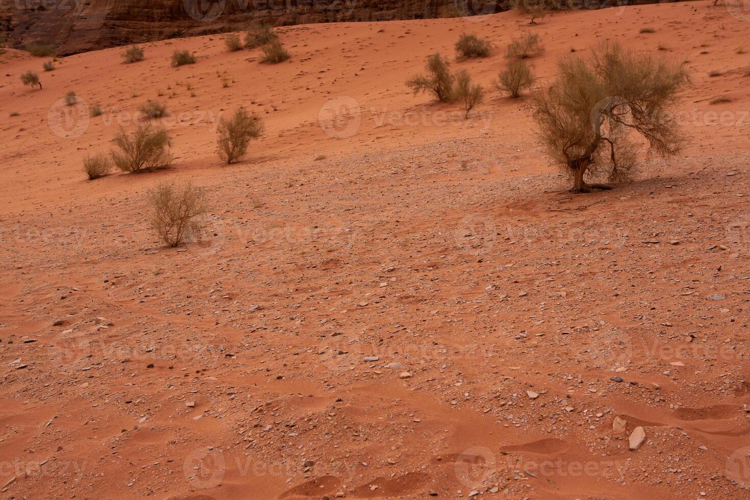 Wadi Rum Desert in Jordan. On the Sunset. Panorama of beautiful sand pattern on the dune. Desert landscape in Jordan. photo