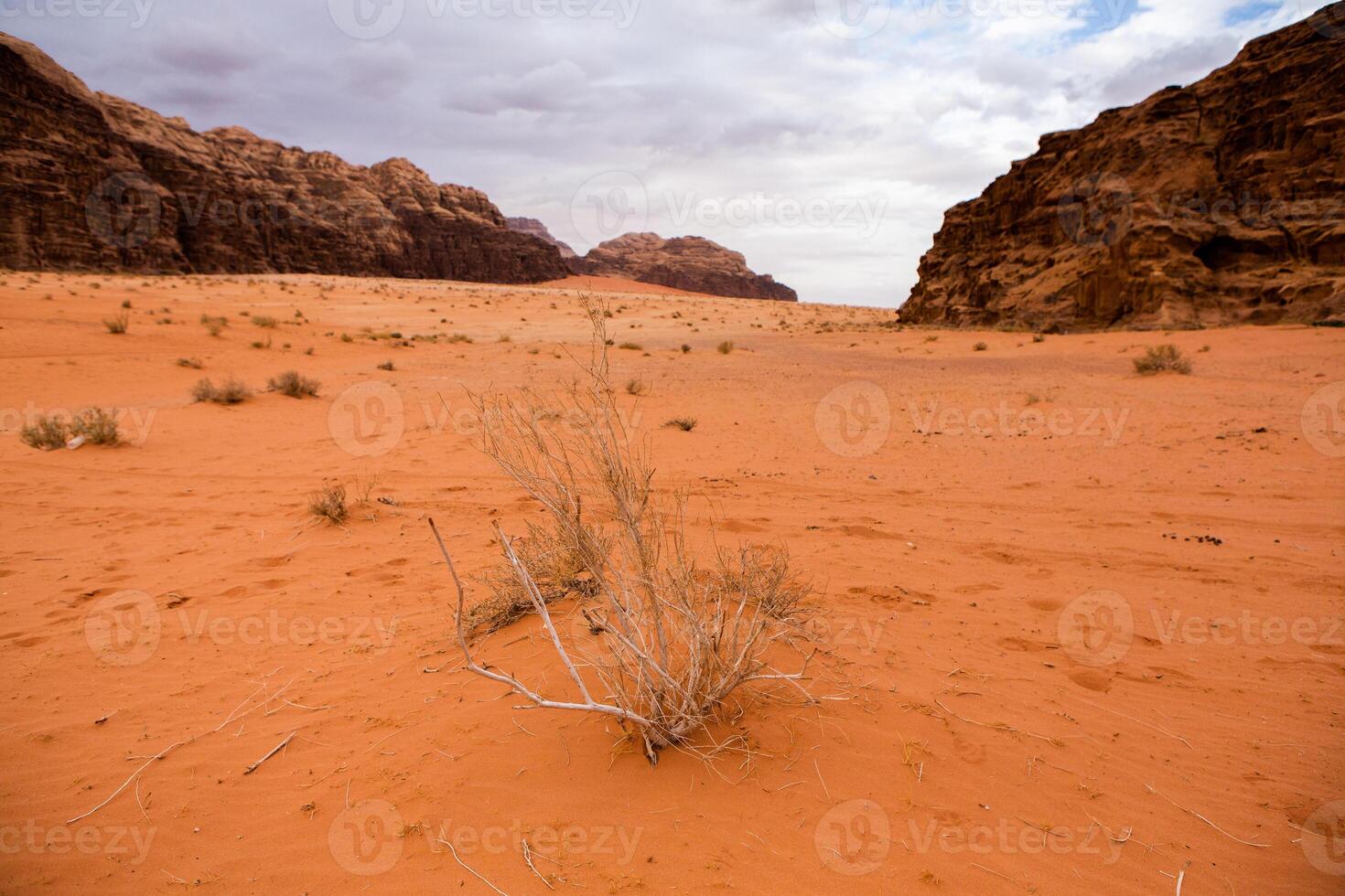 Wadi Rum Desert in Jordan. On the Sunset. Panorama of beautiful sand pattern on the dune. Desert landscape in Jordan. photo
