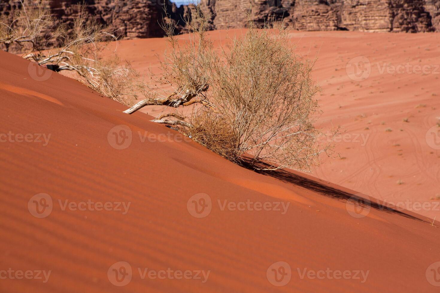 Wadi Rum Desert in Jordan. On the Sunset. Panorama of beautiful sand pattern on the dune. Desert landscape in Jordan. photo