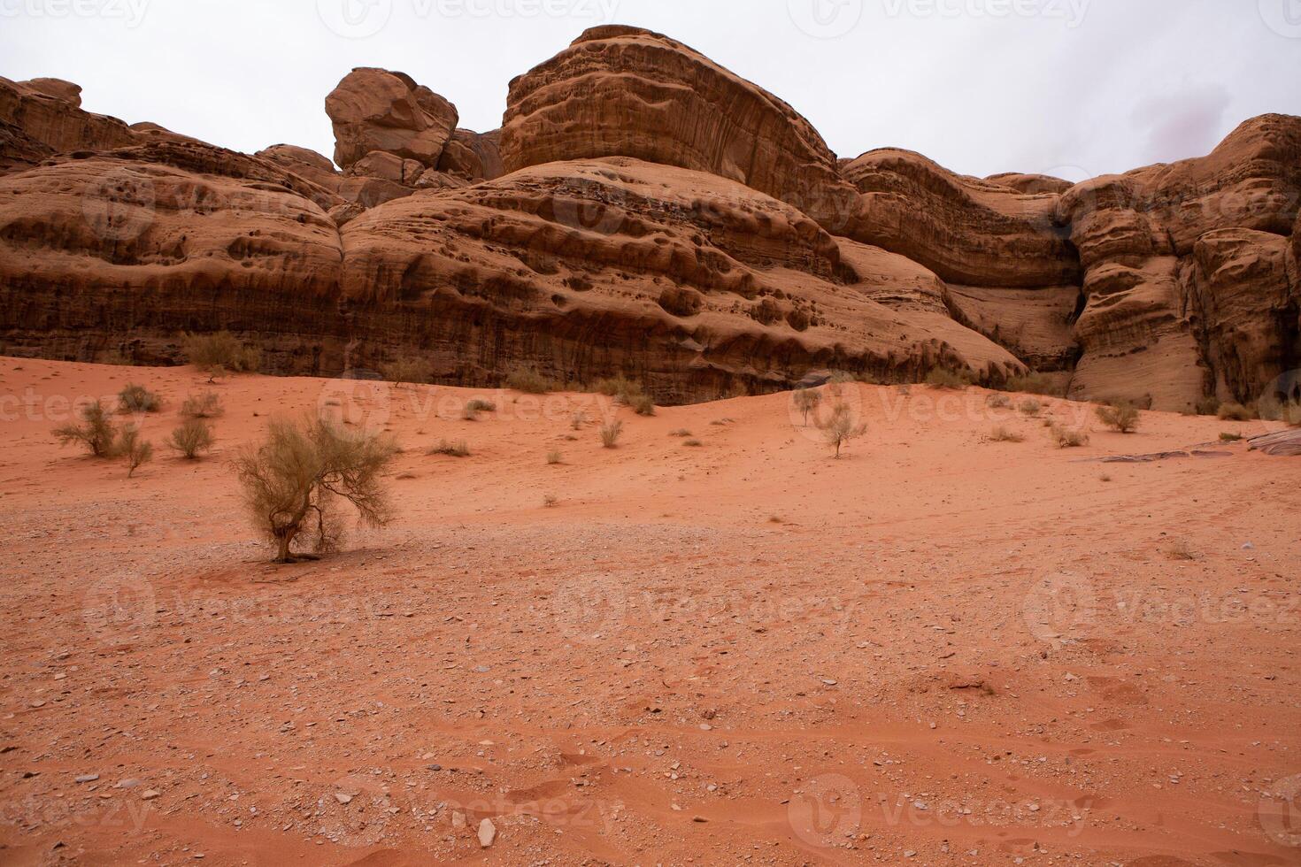 Wadi Rum Desert in Jordan. On the Sunset. Panorama of beautiful sand pattern on the dune. Desert landscape in Jordan. photo